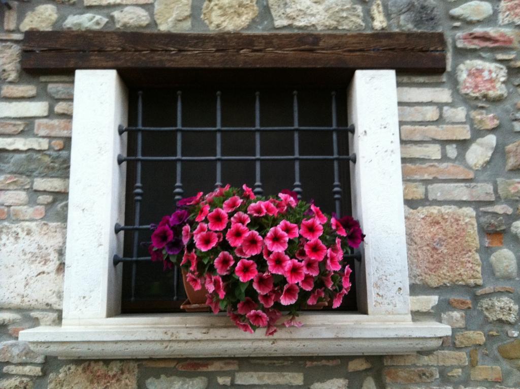 Agriturismo La Cantina Ascoli Piceno Extérieur photo