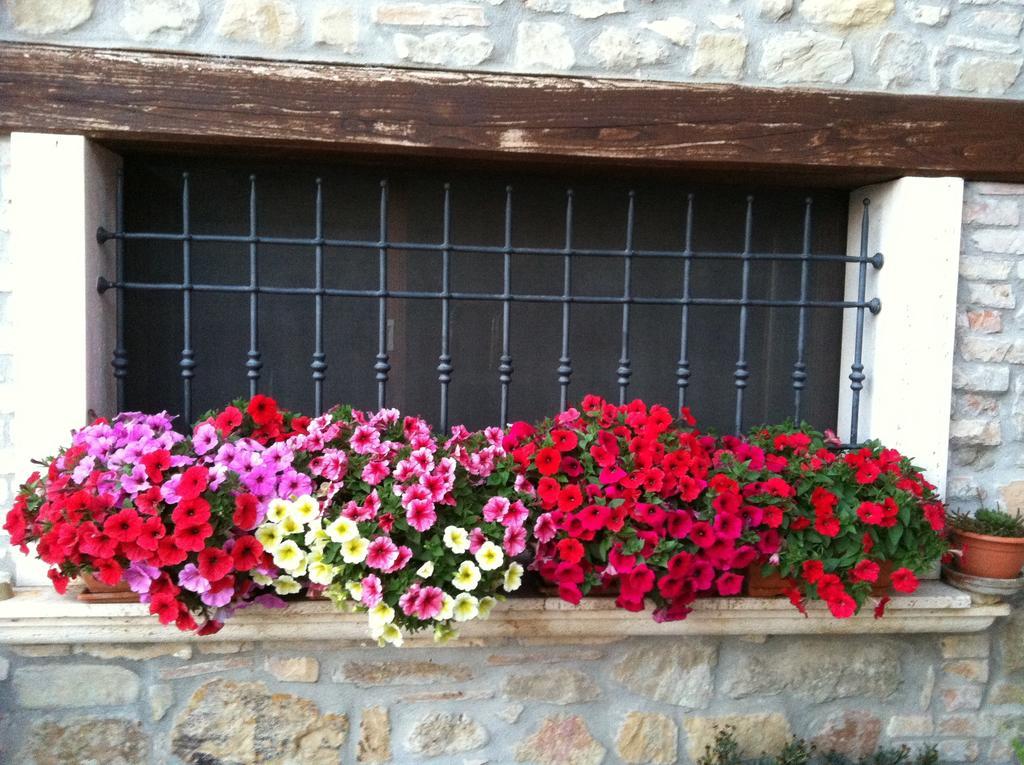 Agriturismo La Cantina Ascoli Piceno Extérieur photo